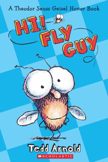 Hi! Fly Guy